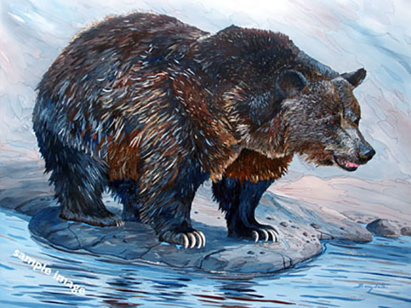 A painting of a Grizzly bear by Barry Tate