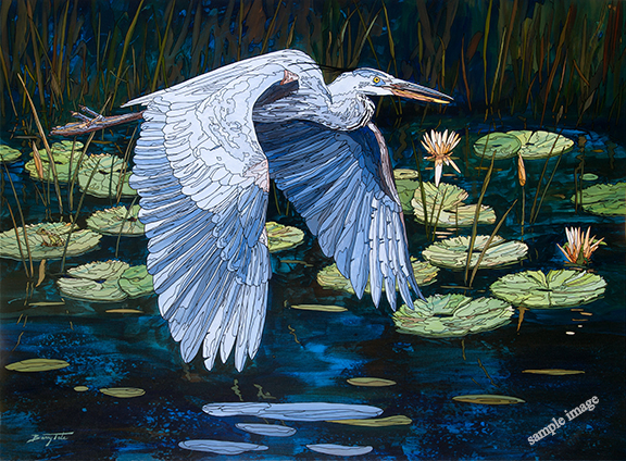 Great Blue Heron flying over a lily pond